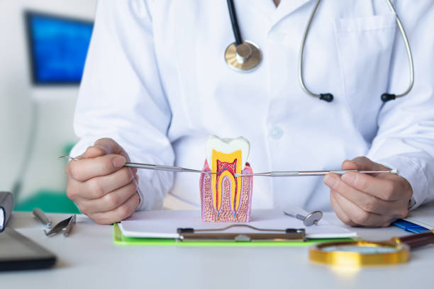 Best Emergency Dental Care for Sports Injuries in Pittsboro, IN